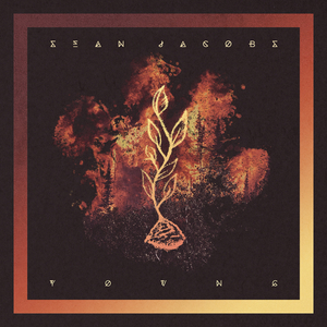 亚洲蝌蚪九色91
